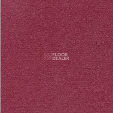 Ковролин Radici Nexus Amarena 8270 фото 1 | FLOORDEALER